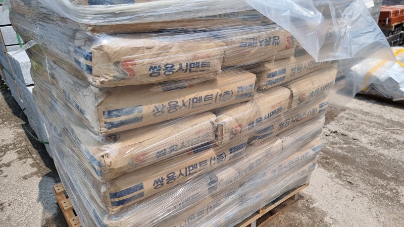 사진 5
