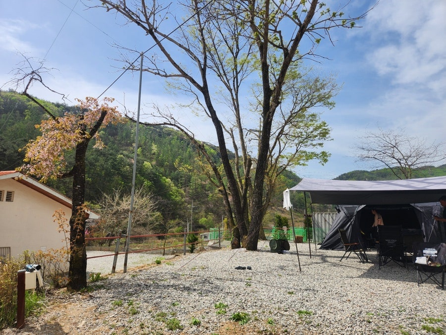 시골학교캠핑장 사진 1