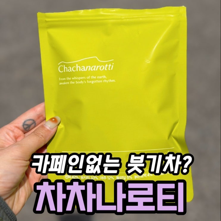  차차나로티 올데이 플러스, 물 대신 마시는 국내산 돌외잎차 직접 마셔본 내돈내산 후기