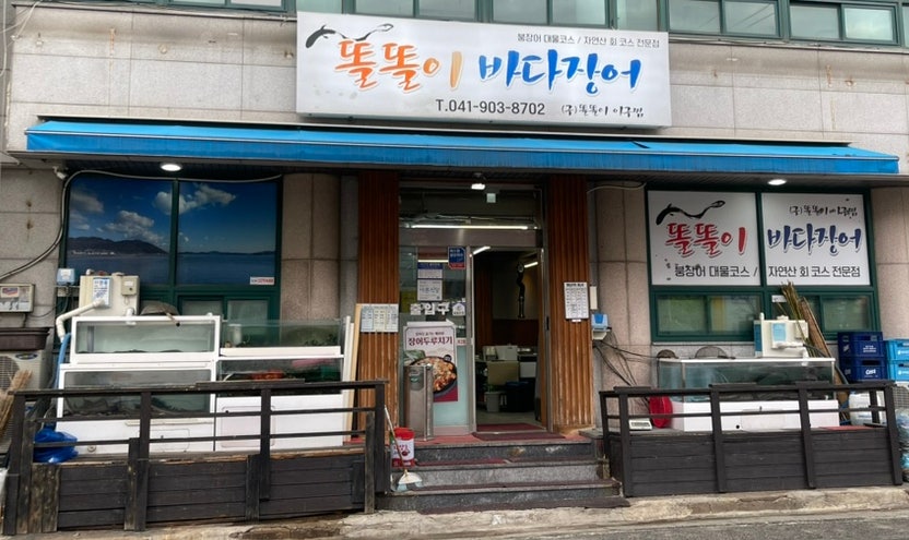 똘똘이바다장어 사진 1