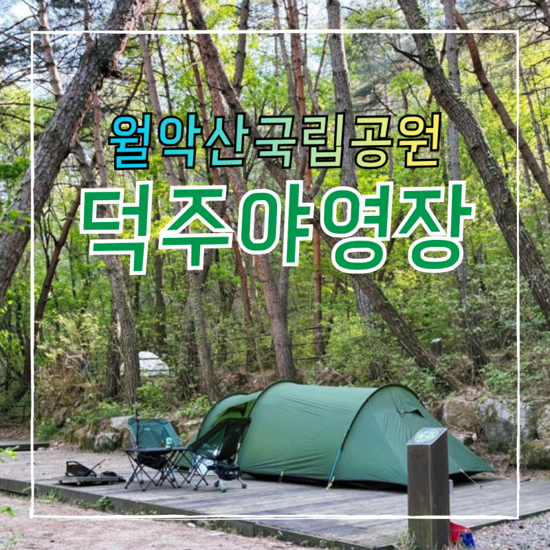 월악산 덕주야영장 데크사이트 B43 국립공원공단 예약