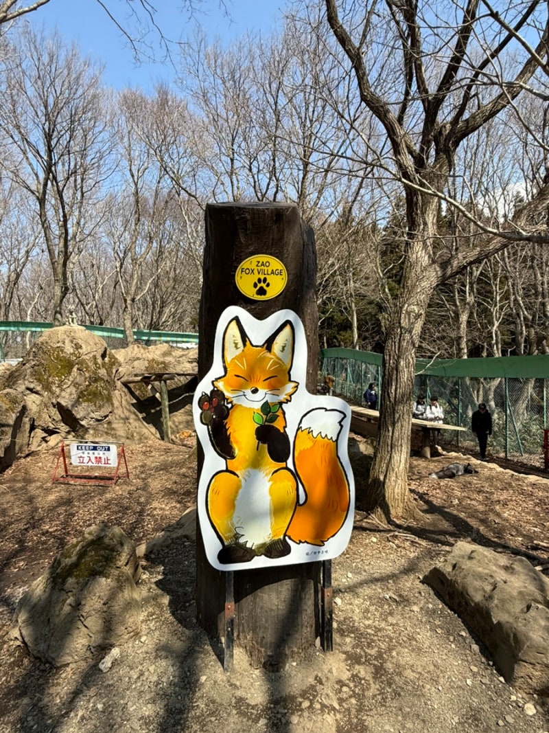 사진 4