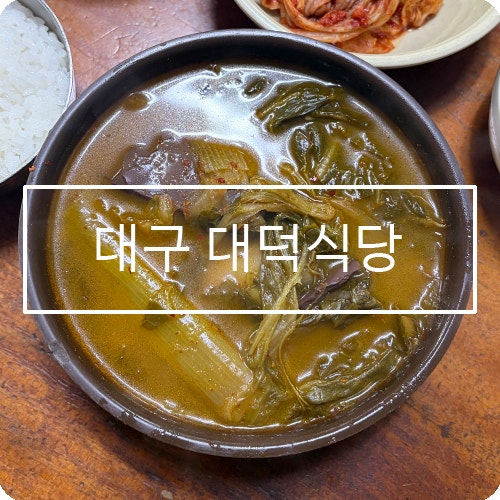 사진 7