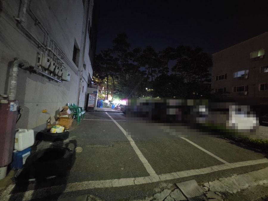 뚱삼이와대삼이 정관점 사진 1