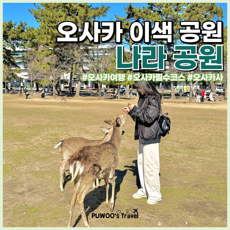  오사카 당일치기 나라 사슴 공원 가는법 입장료 센베이 꿀팁 주의사항