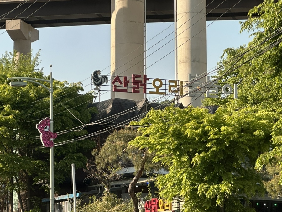 산닭오리불놀이 사진 2