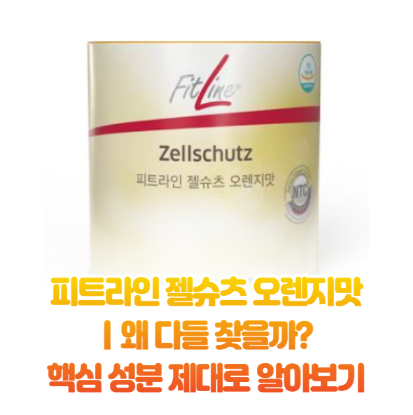 피트라인 젤슈츠 오렌지맛ㅣ왜 다들 찾을까? 핵심 성분 제대로 알아보기