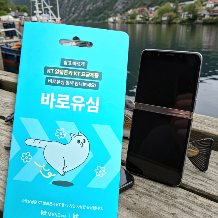  KT MVNO 알뜰폰 요금제로 공기계 개통될까?