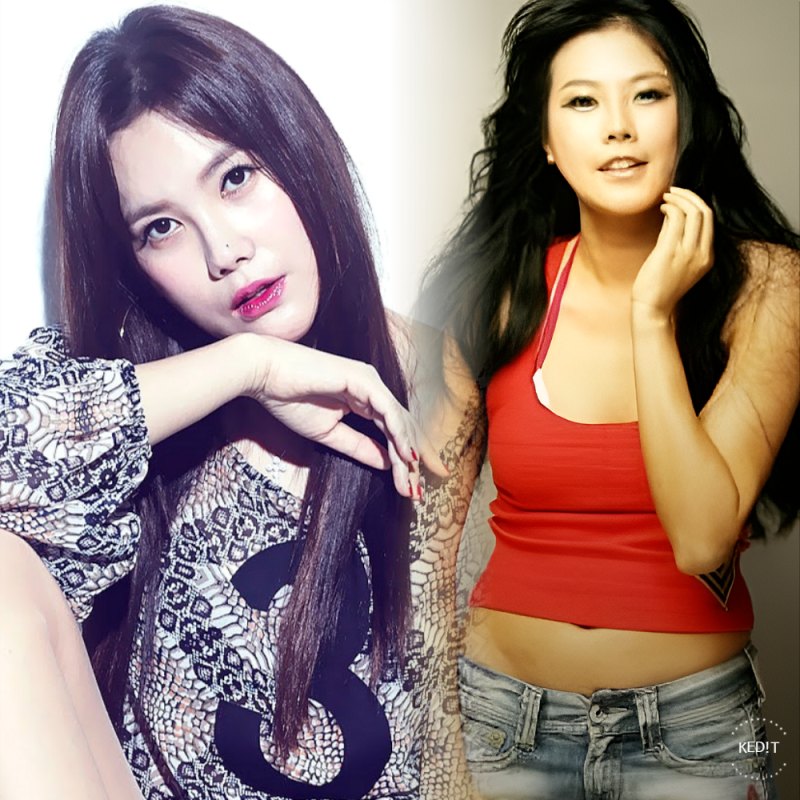 김현정 프로필 가수 나이 키 결혼? 샤넬 모델부터 톱스타 대시 쏟아진 전성기 (히든싱어)