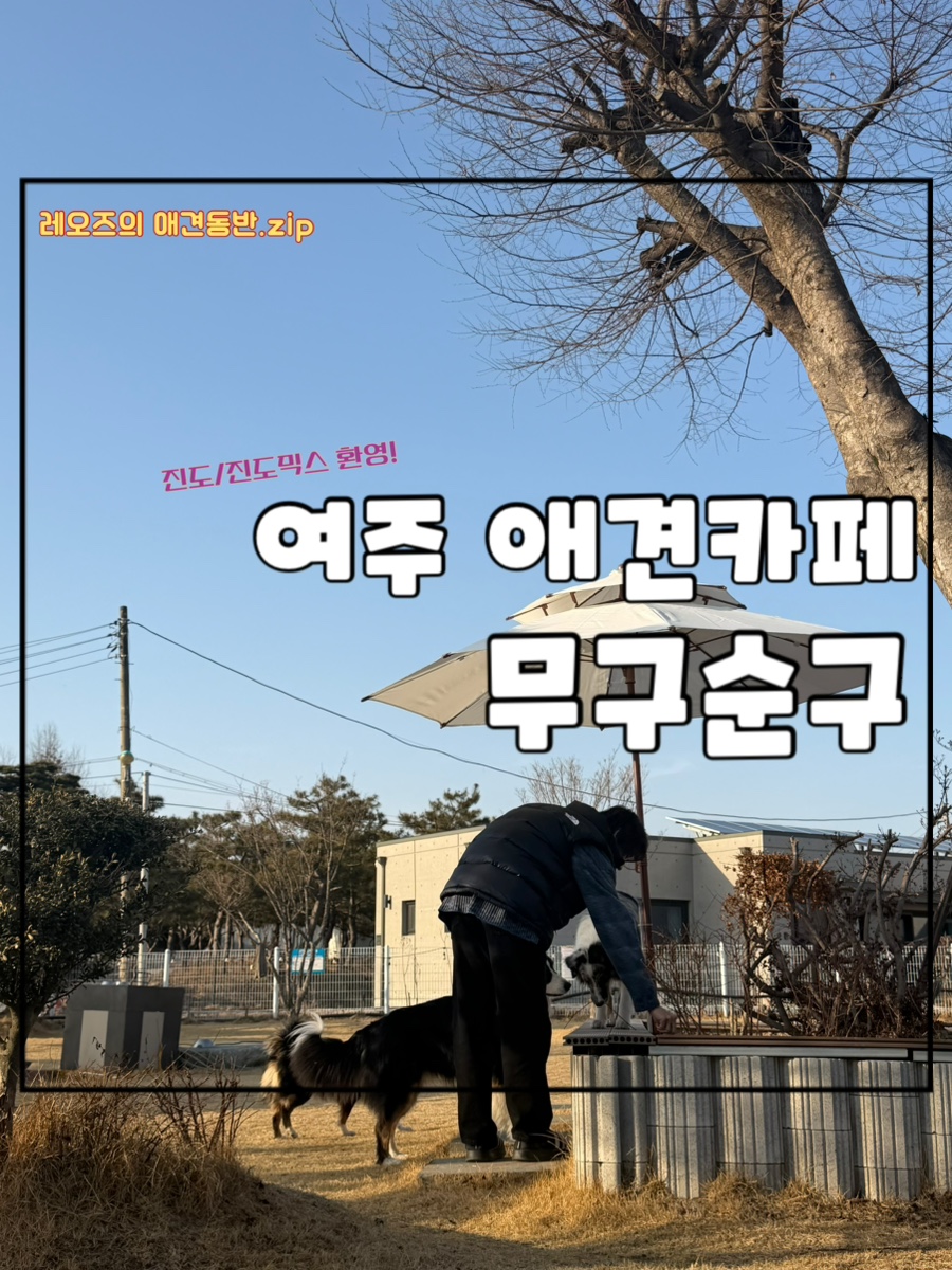 무구순구 사진 1