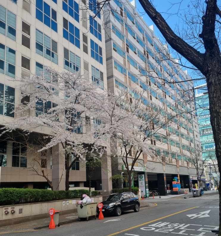  파주작명소 개명후기 일이 안풀려 개명까지 하게 된 이야기