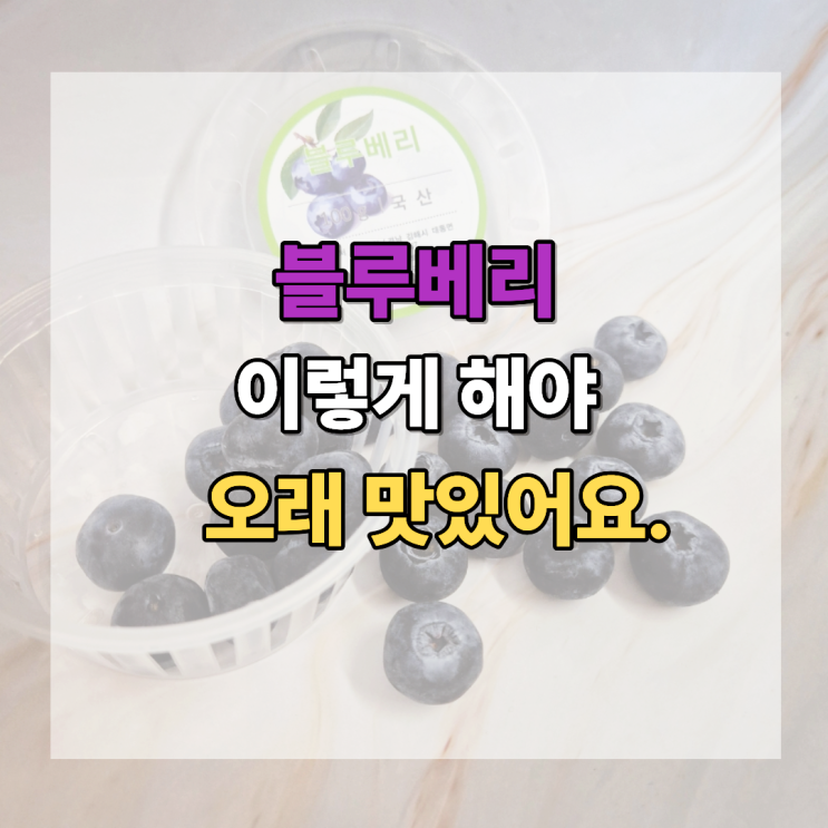 블루베리 고르는법부터 씻는법 보관법까지 이렇게 해야 오래 맛있어요.