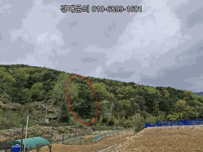  부산 기장군 일광읍 용천리 산55-3, 미래 가치 품은 대규모 임야 경매! 최저가 34%로 만나는 특별한 투자 기회 2025타경5153