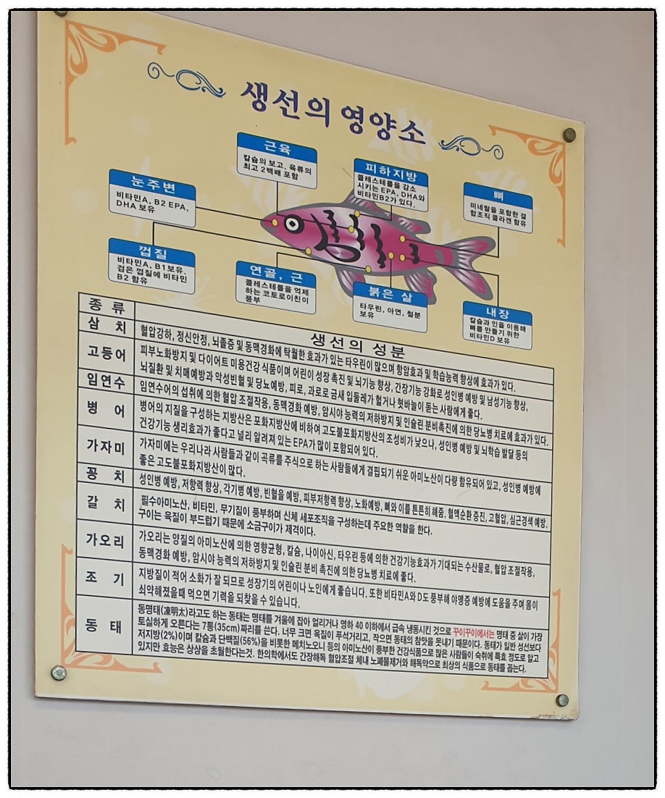 꾸이꾸이 사진 5