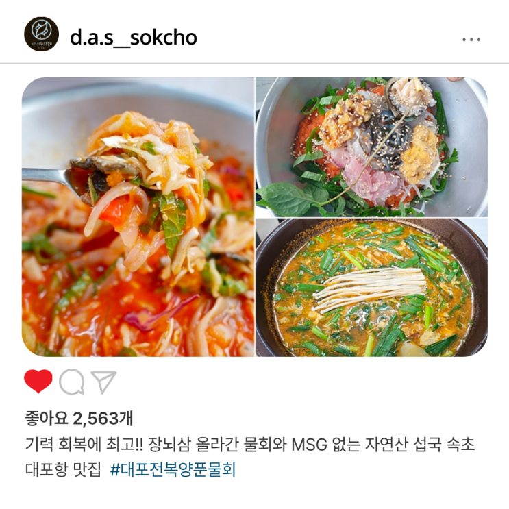  기력 회복에 최고!! 장뇌삼 올라간 속초 물회와 MSG 없는 자연산 섭국 속초 대포항 맛집