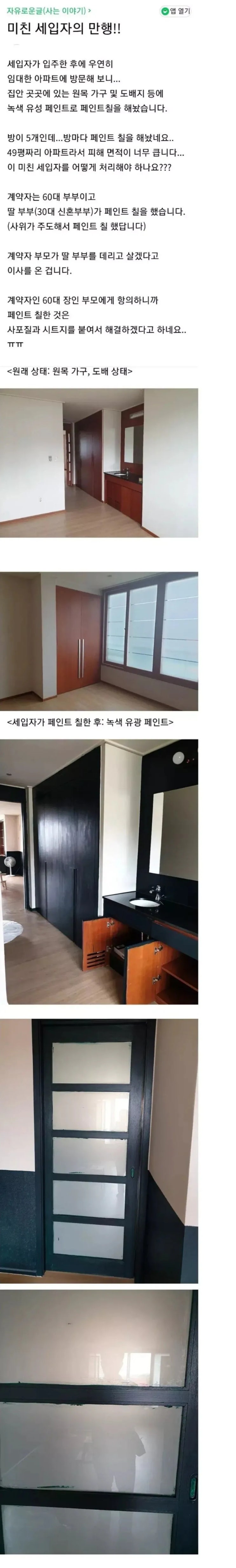  49평 아파트에 녹색 유성 페인트를 칠해버린 세입자