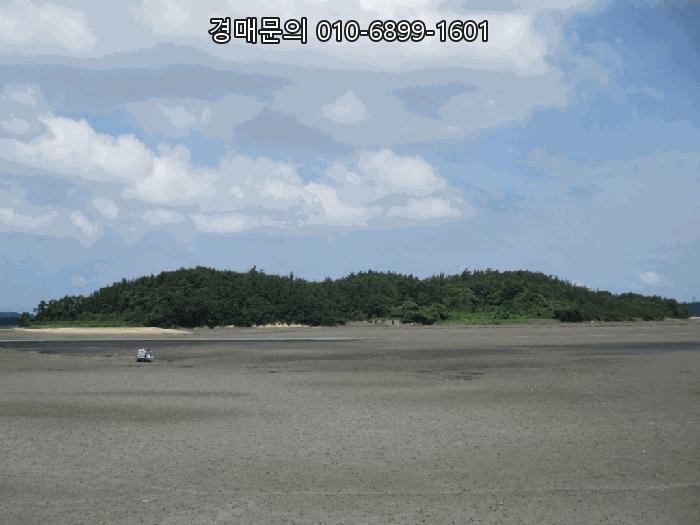  전남 신안 압해읍 가룡리 임야, 수려한 자연 속 계획관리지역 경매로 미래 가치를 선점하세요 2025타경51366