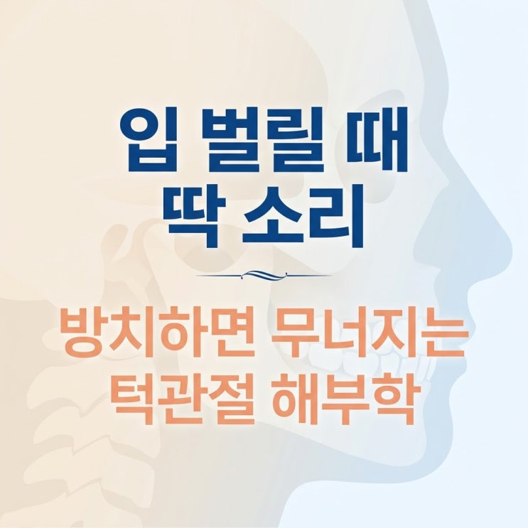  턱관절 소리 통증, 입 벌릴때 딱 소리 원인과 이악물기 보톡스 스플린트 한계, 한의원 보존치료