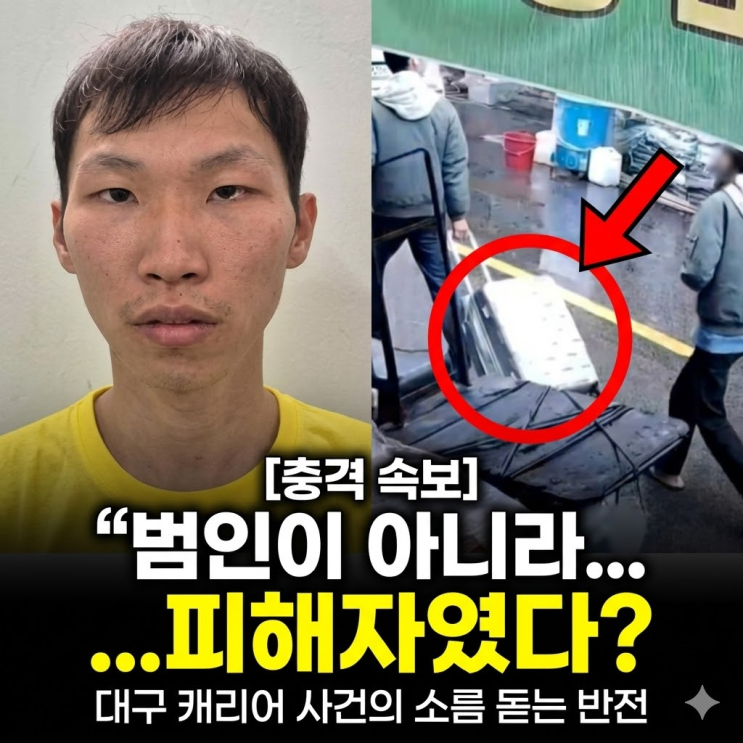  대구 캐리어 장모 살인사건 반전 수사 결과, 아내 석방된 결정적 이유 (조재복 홈캠 증거)