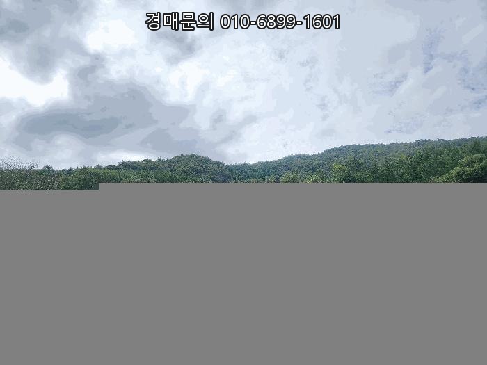  전라남도 여수시 만흥동 산18, 유찰로 최저가 70% 하락! 바다와 인접한 개발 잠재력 높은 임야 경매 2025타경52104