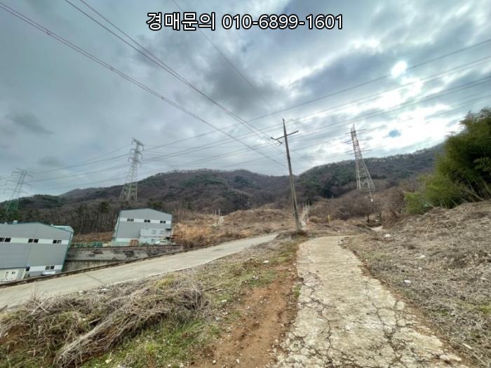  부산 기장군 정관읍 달산리 49% 최저가 대규모 임야 경매, 정관신도시 인접 개발 잠재력 품은 미래 투자처 2024타경394