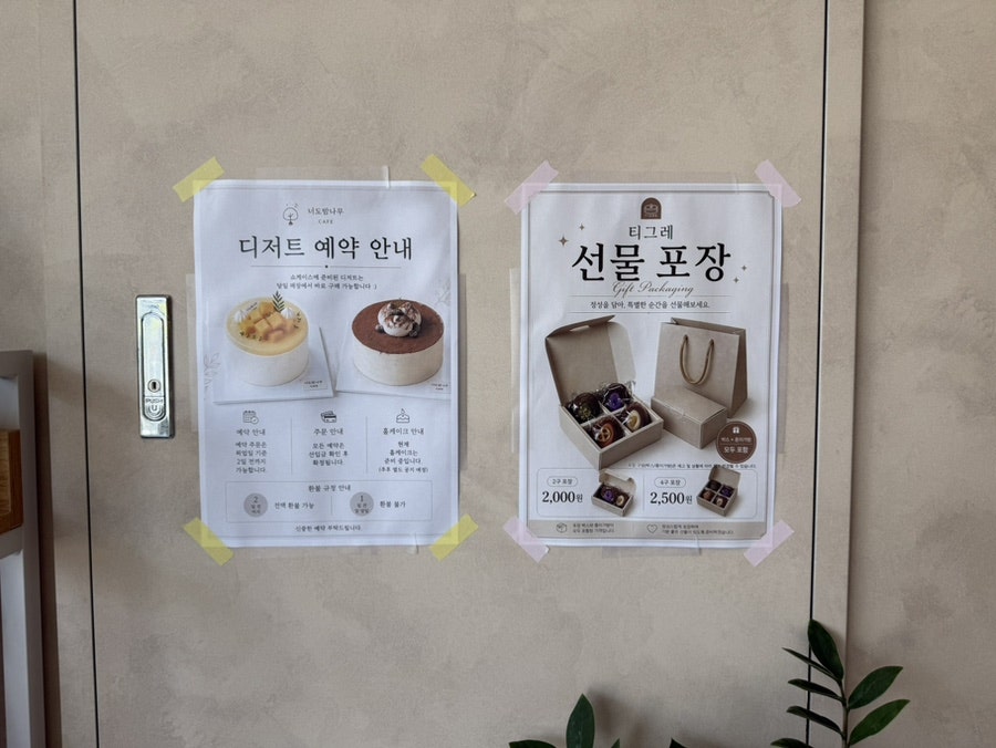 너도밤나무 사진 6