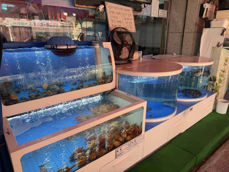 독도회수산 고암점 사진 6