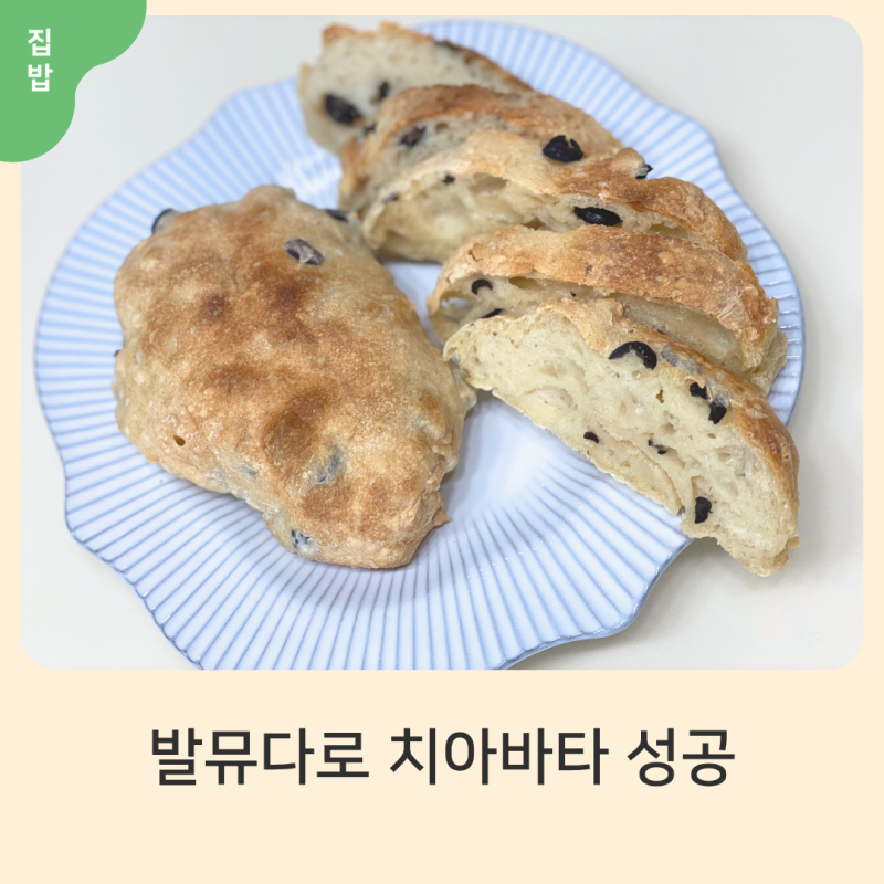 발뮤다 오븐으로 무반죽 올리브 치아바타 만들기｜미니오븐으로도 겉바속촉 성공