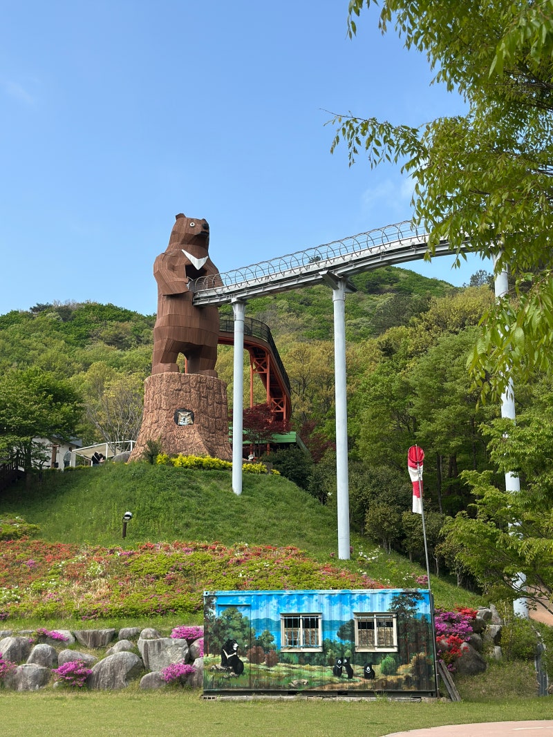 보성 제암산휴양림 곰썰매 온라인 예약 및 방법, 포토존까지