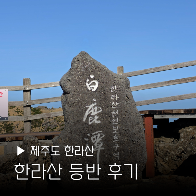 한라산 등반 성판악 코스 후기 소요시간 관음사 백록담 필수템 대여 초보자 주차장 김밥 인....