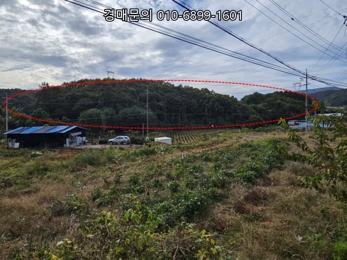  경기 광주시 곤지암읍 삼합리, 자연 속 휴식과 투자 가치를 동시에 품은 숲세권 임야 경매 (수원지방법원 성남지원 2024-6146)