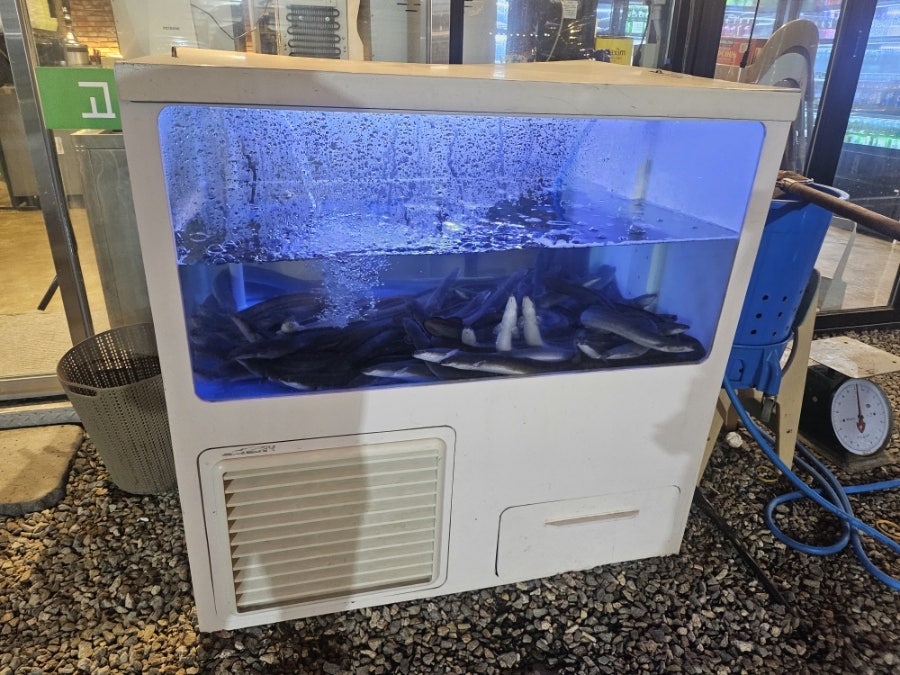 고산풍천장어 사진 4