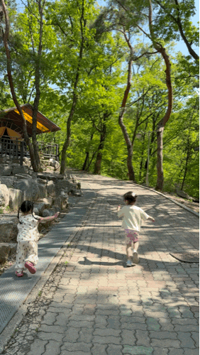 4월 과천캠핑장 : 332번 텐트, 놀이터 옆 텐트