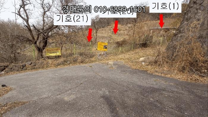  대전 동구 판암동 근린주택 경매, 복합적인 가치와 잠재력을 품은 230-10번지 부동산 투자, 철저한 권리분석으로 성공 기회를 잡으세요! 2025타경501967