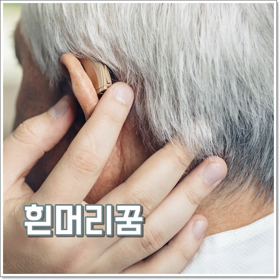 흰머리꿈 해몽 흰머리노인꿈 풀이 걱정거리 해결