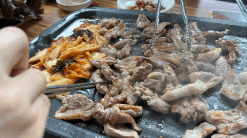 화순 식물나라 후기 | 부모님 모시고 가기 좋았던 오리로스 맛집