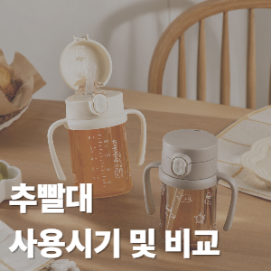 추빨대 사용시기 및 사용법 총정리 더블하트 헤겐 모윰 하이비 순수아 비교 빨대컵