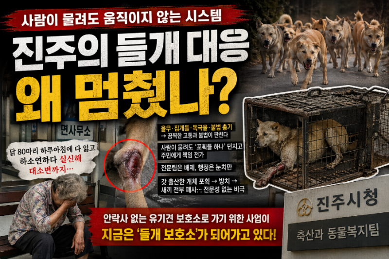 사진 8
