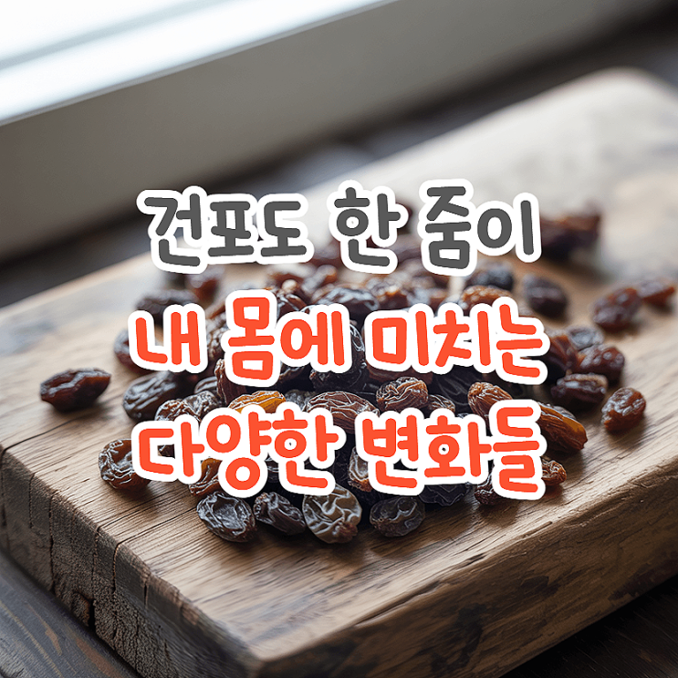  피곤한 당신에게 건포도 효능이 필요한 이유