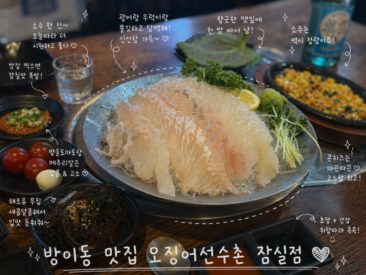  방이동 횟집 맛집 '오징어선수촌 잠실점', 가성비 좋은 회+매운탕 세트 즐기기 좋은 술집