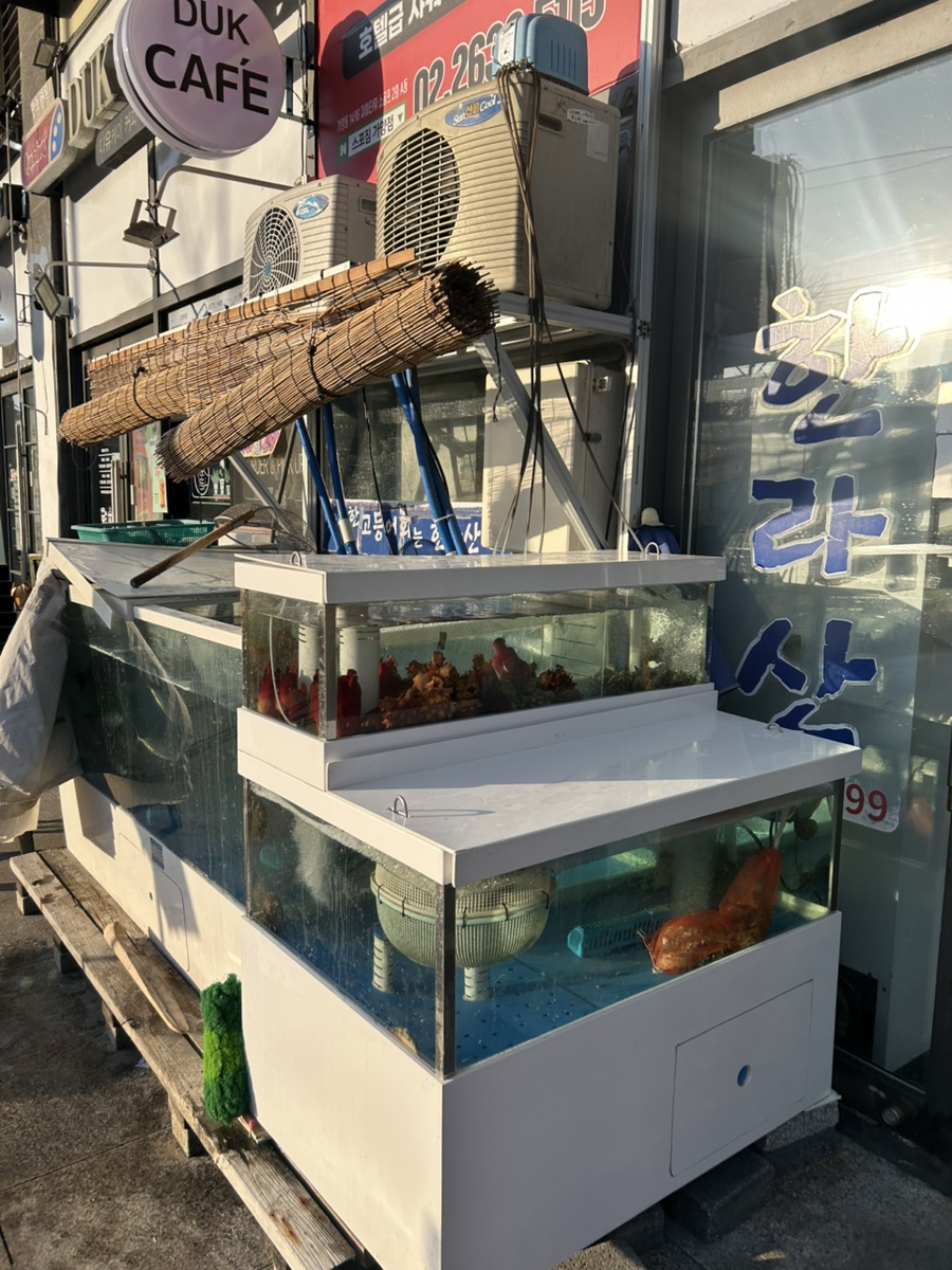 한라산횟집 사진 3