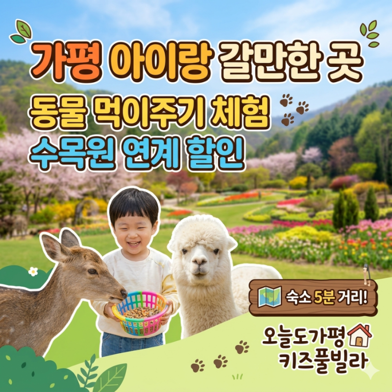 가평 아침고요수목원 연계 할인 정보! 아이랑 갈만한 곳 동물 먹이주기 체험!(숙소 5분 거리 ....