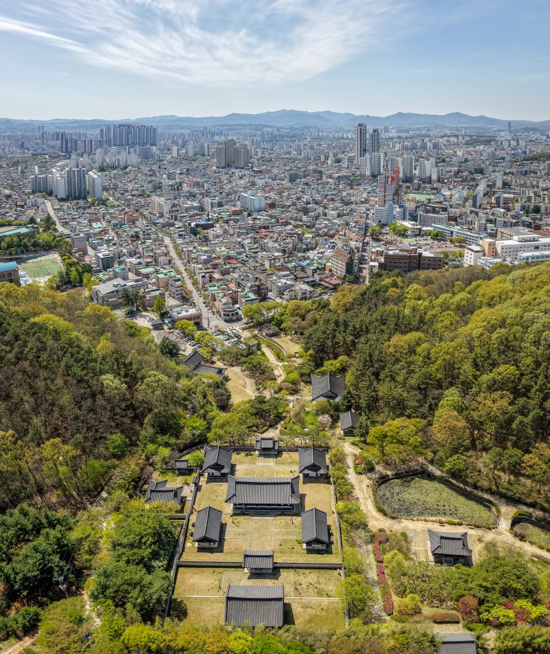 사진 9