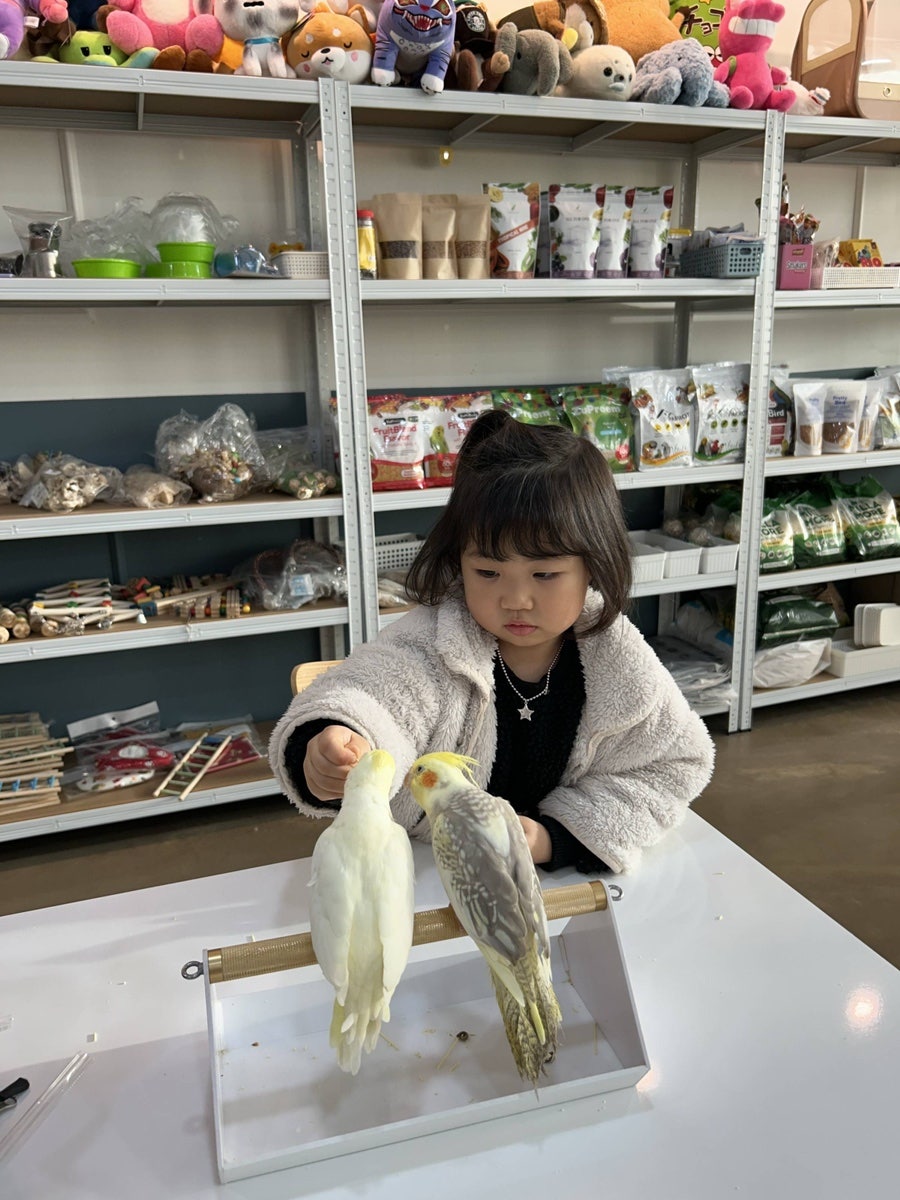 앵무새카페버드랑 사진 2