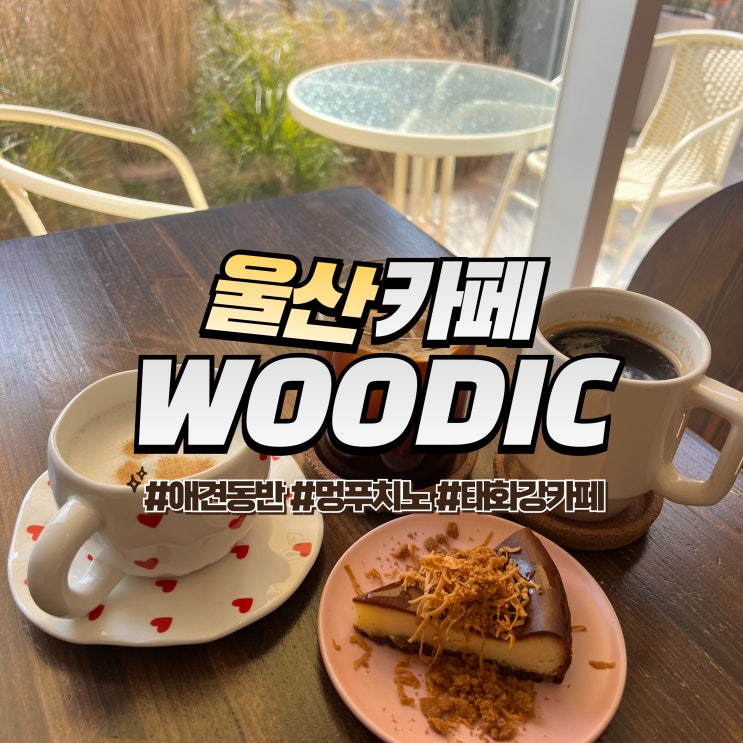  울산 우딬 :: 태화강 애견동반 카페 멍푸치노 야외 운동장