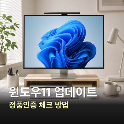 윈도우 11 업데이트 방법 시디키 정품인증 확인법