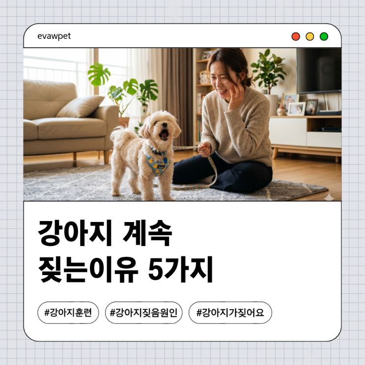  강아지 계속 짖는 이유 5가지, 해결 방법까지 정리