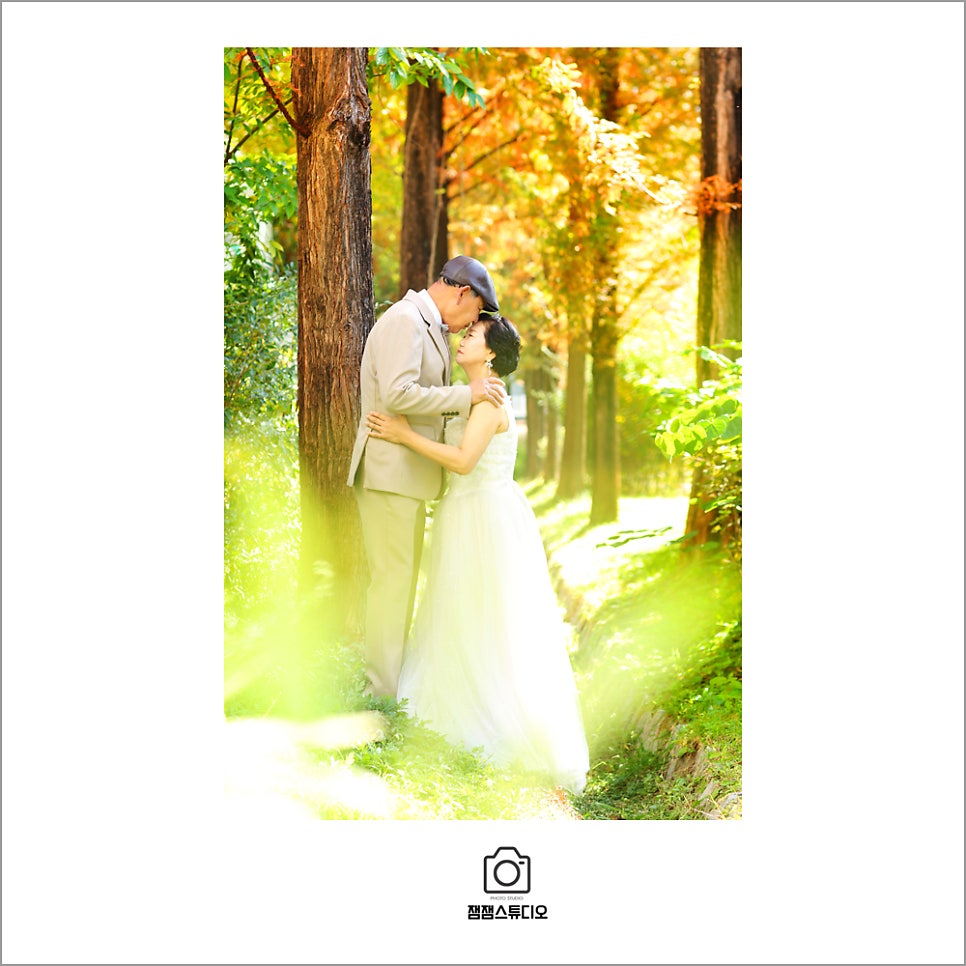 잼잼 사진 3