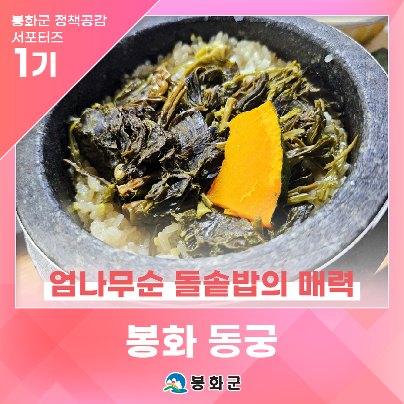 '봉화 억지춘양시장 동궁', 엄나무순 돌솥밥의 매력 | 제1기 봉화군 정책공감 서포터즈 홍성....