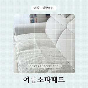 라익디스 시어서커 논슬립 4인용 여름소파패드 추천